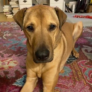 Meet your Posher, Matt